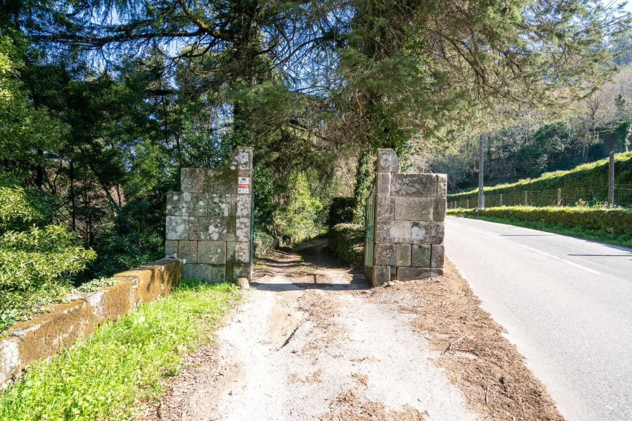 Quinta Das Lamas - Oak Tree House Vouzela Dış mekan fotoğraf