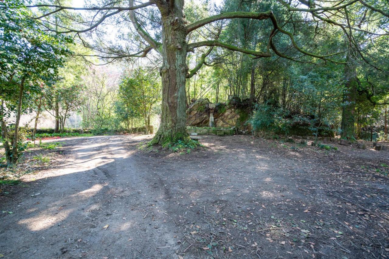 Quinta Das Lamas - Oak Tree House Vouzela Dış mekan fotoğraf